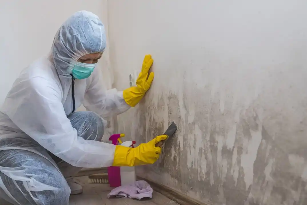 water damage restoration service Western Division